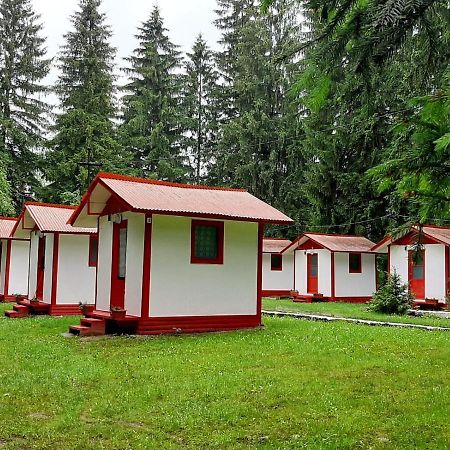 Отель Casute Valea Zanelor Ковасна Экстерьер фото