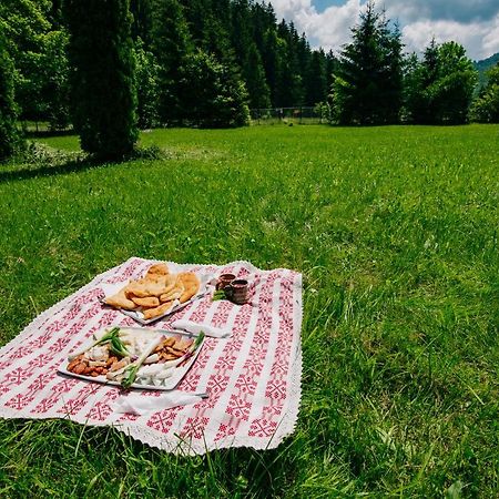 Отель Casute Valea Zanelor Ковасна Экстерьер фото