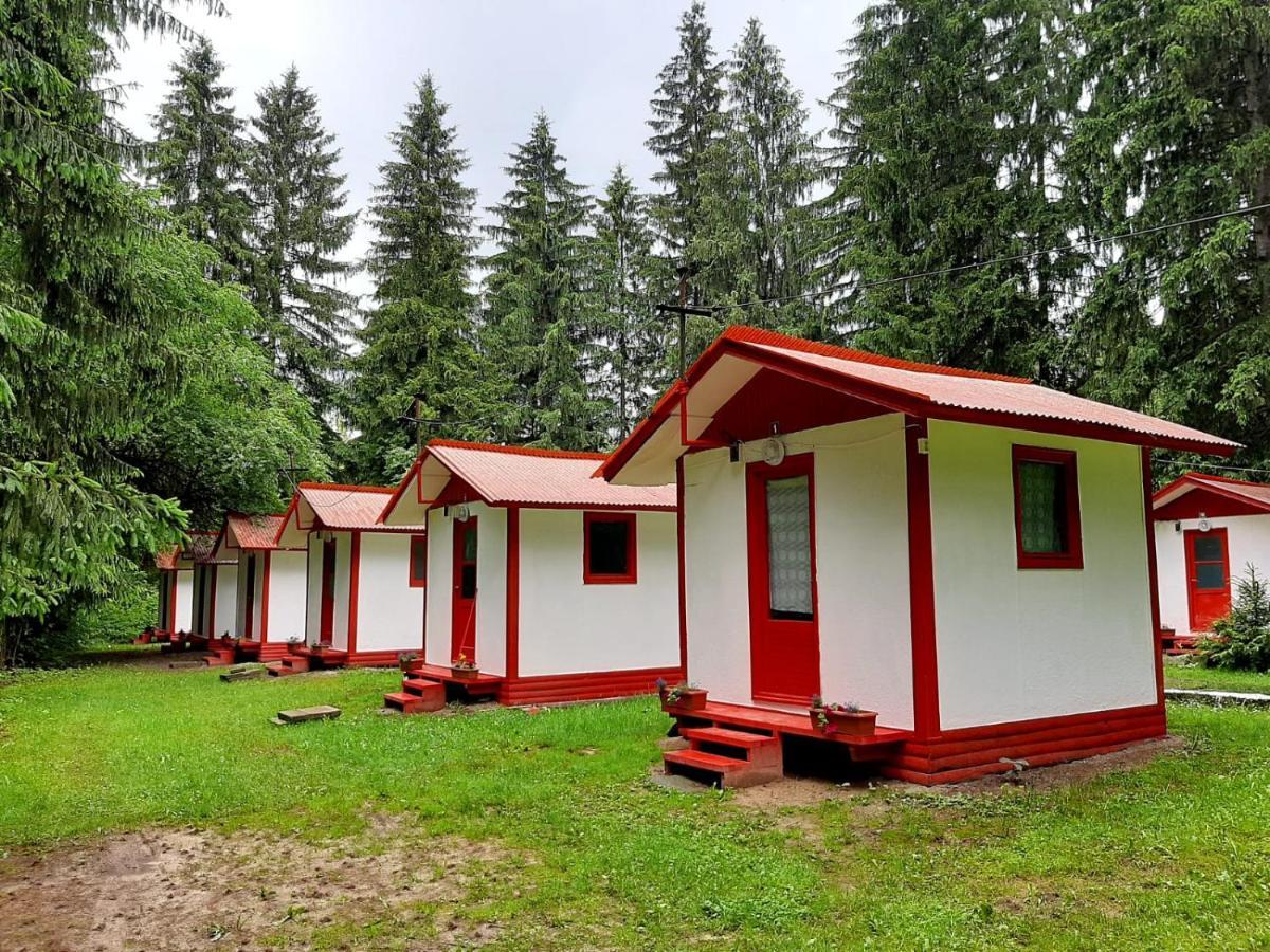 Отель Casute Valea Zanelor Ковасна Экстерьер фото
