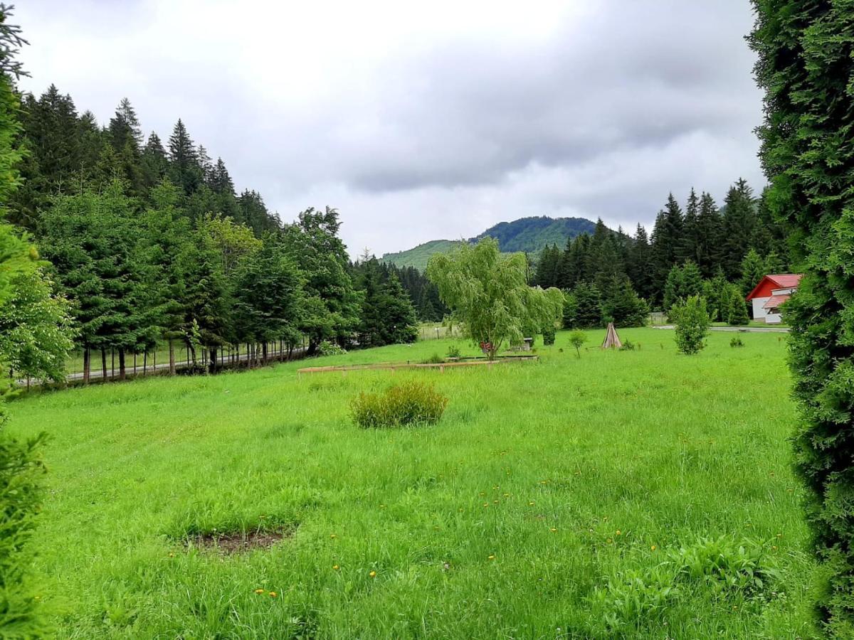 Отель Casute Valea Zanelor Ковасна Экстерьер фото