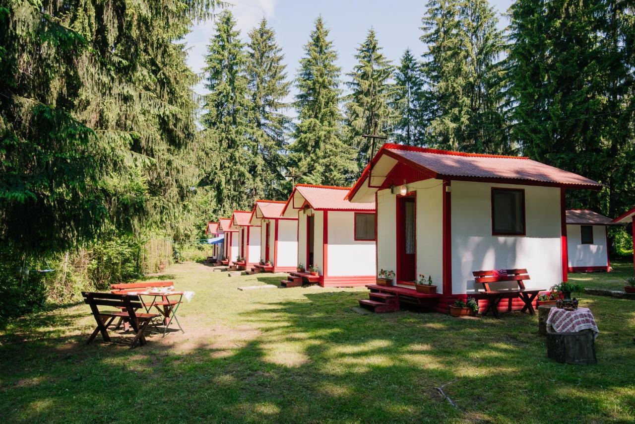 Отель Casute Valea Zanelor Ковасна Экстерьер фото