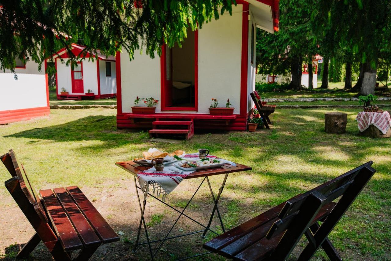 Отель Casute Valea Zanelor Ковасна Экстерьер фото